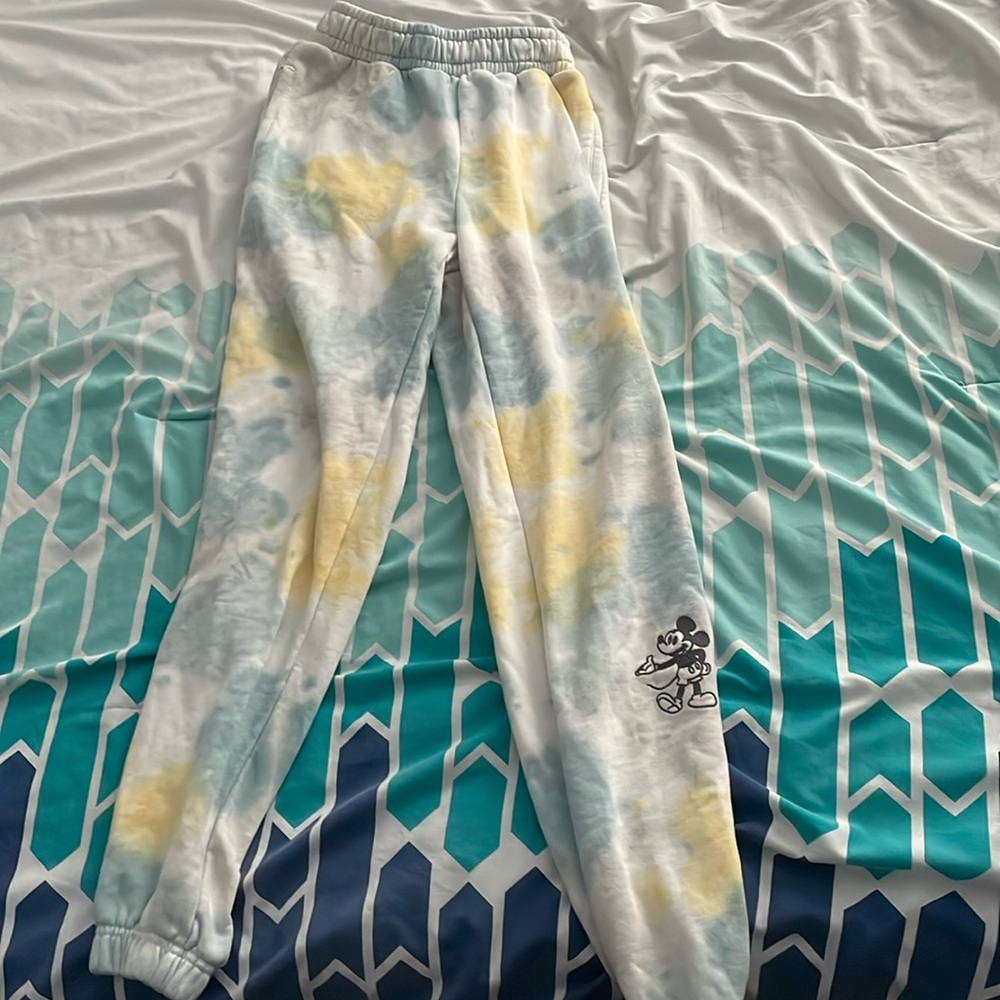 Walt Disney world sweatpants